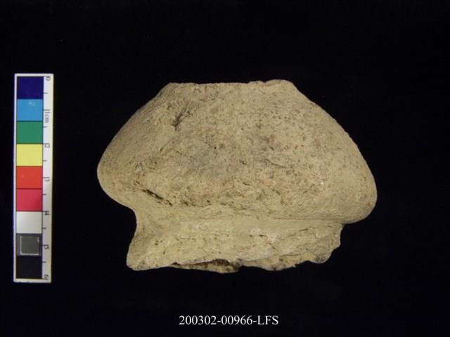 雙豎把矮圈足陶罐藏品圖，第2張