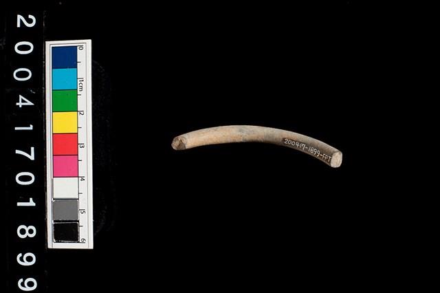 陶環藏品圖，第2張