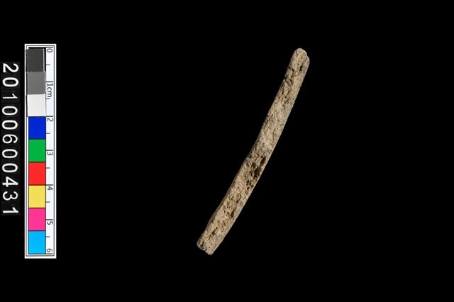 腹片藏品圖，第2張