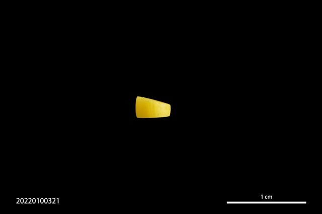 玻璃珠藏品圖，第2張