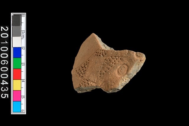 腹片藏品圖，第6張