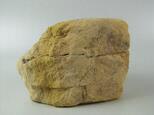 石英砂岩藏品圖，第7張