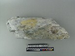 溫石棉藏品圖，第1張