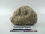 石灰岩藏品圖，第1張