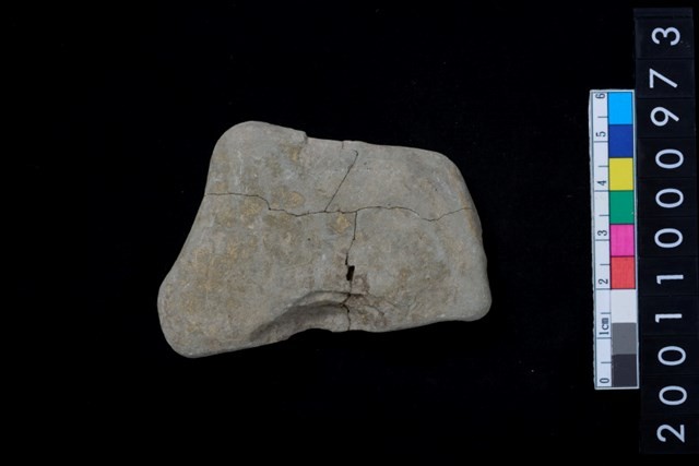 石網墜藏品圖，第1張