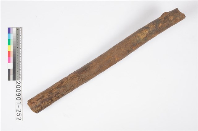 象牙化石藏品圖，第1張