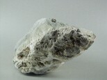 溫石棉藏品圖，第4張