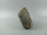 石灰岩藏品圖，第4張