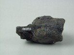 自然金藏品圖，第4張