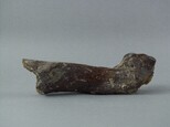 牛肢骨藏品圖，第5張