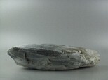溫石棉藏品圖，第5張