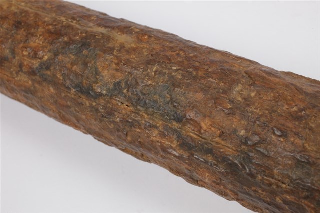 象牙化石藏品圖，第5張