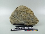 石灰岩藏品圖，第2張