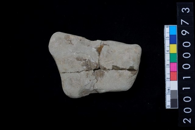 石網墜藏品圖，第2張