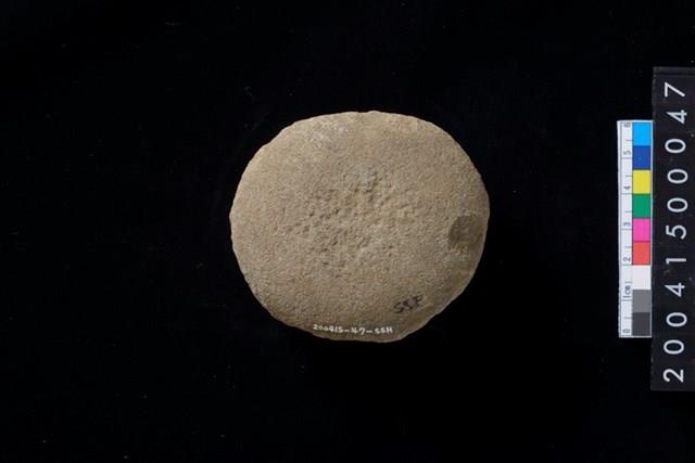 石錘藏品圖，第2張