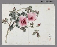 相關藏品主要名稱：郭心雲繪月季花水墨的藏品圖示