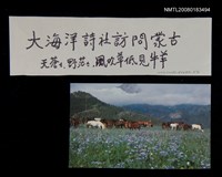 主要名稱：大海洋詩社訪問蒙古－天蒼蒼，野茫茫，風吹草低見牛羊圖檔，第2張，共2張