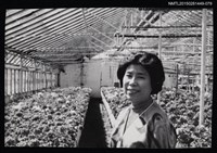 相關藏品主要名稱：琦君個人生活照1-79的藏品圖示