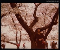 相關藏品主要名稱：琦君個人生活照2-22（琦君遊美）的藏品圖示
