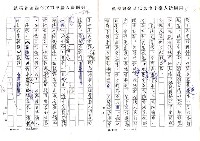 主要名稱：情報化時代的台灣詩實況圖檔，第11張，共11張