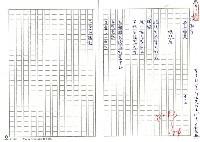 相關藏品主要名稱：總統府；國旗的藏品圖示