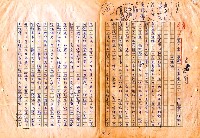 翻譯名稱：審判圖檔，第3張，共197張