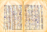 翻譯名稱：審判圖檔，第11張，共197張