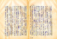 翻譯名稱：審判圖檔，第46張，共197張