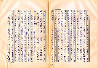 翻譯名稱：審判圖檔，第49張，共197張