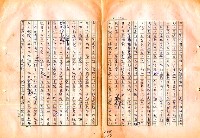 翻譯名稱：審判圖檔，第139張，共197張