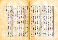 翻譯名稱：審判圖檔，第142張，共197張