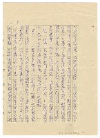 主要名稱：蕃仔雞圖檔，第6張，共18張