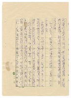 主要名稱：蕃仔雞圖檔，第9張，共18張