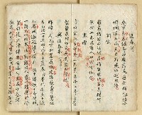 主要名稱：詩稿（道中遇雨等篇）圖檔，第4張，共27張