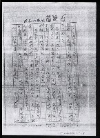 主要名稱：畫苑春秋（影本）圖檔，第163張，共219張