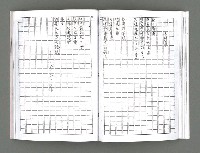 主要名稱：詩集《燃燒的臉頰》（影本）圖檔，第20張，共38張