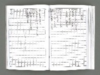 主要名稱：詩集《燃燒的臉頰》（影本）圖檔，第21張，共38張