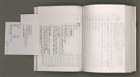 主要名稱：台灣文學研究論集圖檔，第296張，共333張