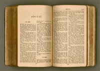 主要名稱：SIN KŪ IOK Ê SÈNG-KENG  TSOÂN SU/其他-其他名稱：新舊約ê聖經全書圖檔，第376張，共571張