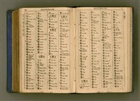 主要名稱：廈門音新字典/其他-其他名稱：Ē-mn̂g im Sin Jī-tián圖檔，第470張，共520張