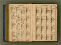 主要名稱：廈門音新字典/其他-其他名稱：Ē-mn̂g im Sin Jī-tián圖檔，第495張，共520張