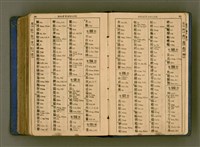 主要名稱：廈門音新字典/其他-其他名稱：Ē-mn̂g im Sin Jī-tián圖檔，第503張，共520張