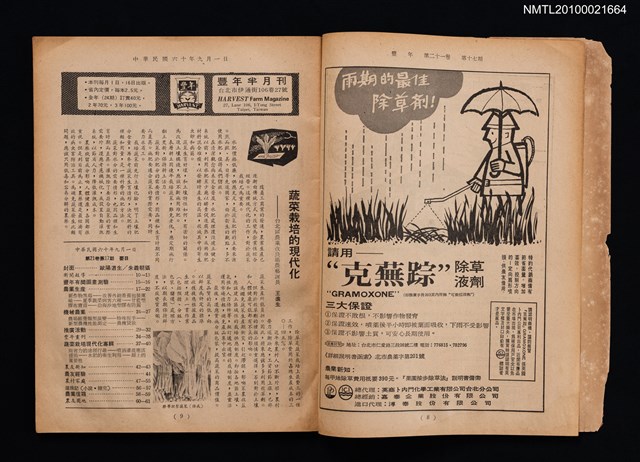 期刊名稱：豐年21卷17期圖檔，第2張，共3張
