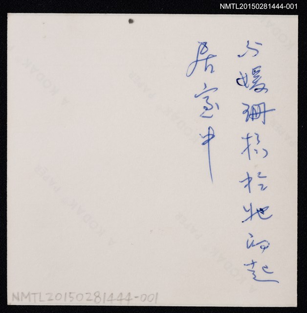 主要名稱：琦君第一次訪美照1（琦君與友人媛珊合影）圖檔，第2張，共2張