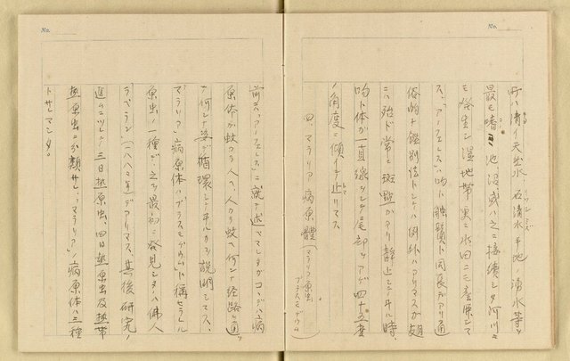 主要名稱：詹作舟詩稿雜記（孔方兄勢力讚等篇）圖檔，第19張，共33張