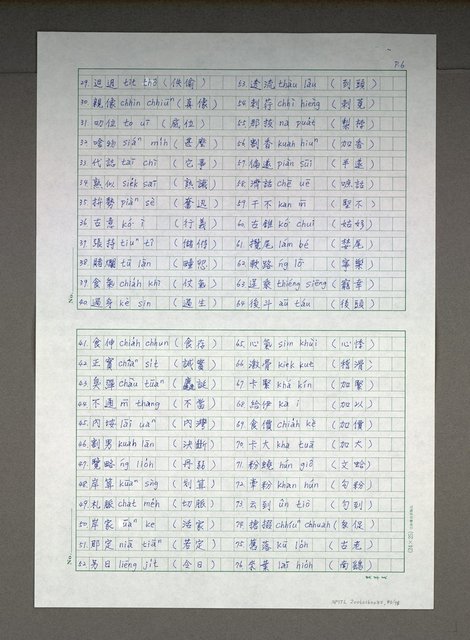 主要名稱：台語研究論文圖檔，第13張，共80張