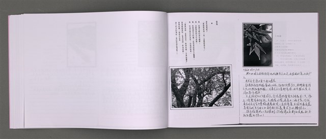 主要名稱：四季的呢喃：虹彩手記(一)〈影本〉圖檔，第21張，共68張