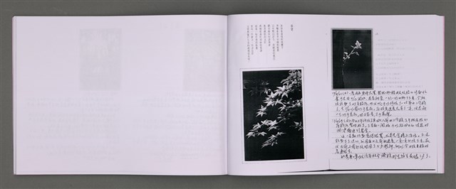 主要名稱：四季的呢喃：虹彩手記(一)〈影本〉圖檔，第25張，共68張