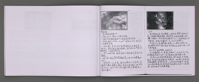 主要名稱：四季的呢喃：虹彩手記(一)〈影本〉圖檔，第28張，共68張
