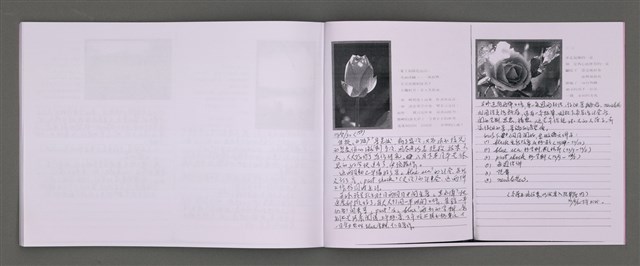 主要名稱：四季的呢喃：虹彩手記(一)〈影本〉圖檔，第33張，共68張
